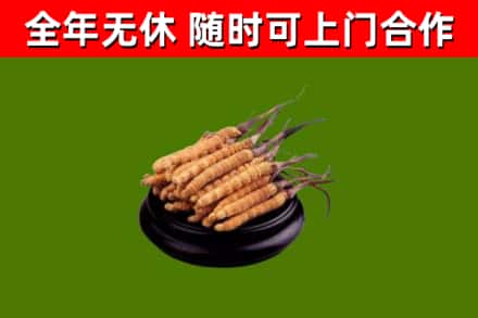 冷水江烟酒回收冬虫夏草.jpg