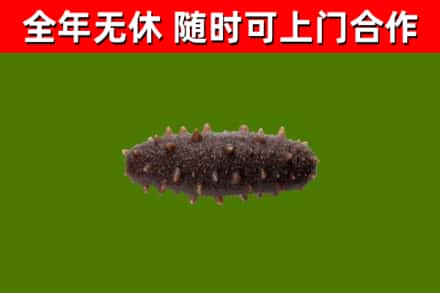 冷水江烟酒回收干海参.jpg